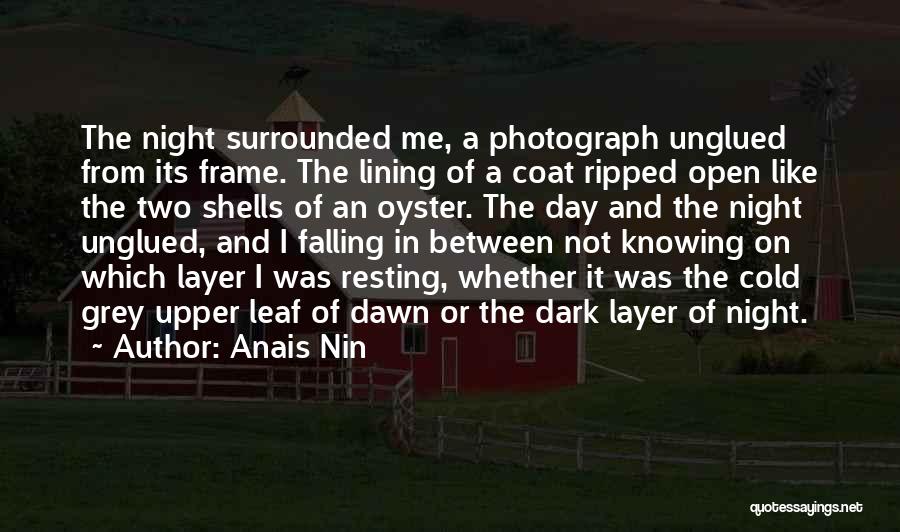 Anais Nin Quotes: The Night Surrounded Me, A Photograph Unglued From Its Frame. The Lining Of A Coat Ripped Open Like The Two