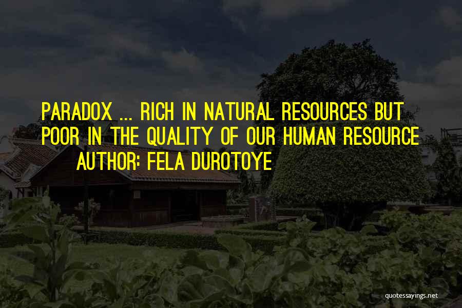 Fela Durotoye Quotes: Paradox ... Rich In Natural Resources But Poor In The Quality Of Our Human Resource