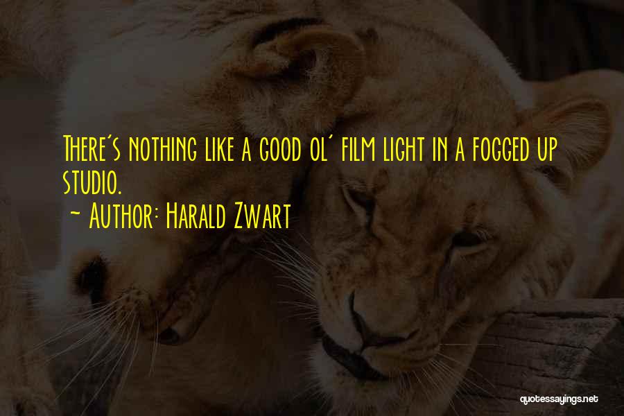 Harald Zwart Quotes: There's Nothing Like A Good Ol' Film Light In A Fogged Up Studio.