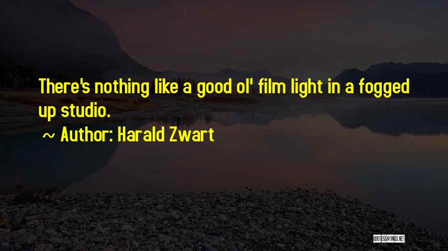 Harald Zwart Quotes: There's Nothing Like A Good Ol' Film Light In A Fogged Up Studio.
