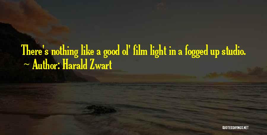 Harald Zwart Quotes: There's Nothing Like A Good Ol' Film Light In A Fogged Up Studio.