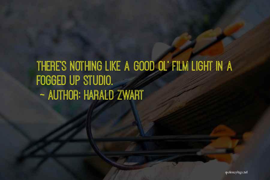 Harald Zwart Quotes: There's Nothing Like A Good Ol' Film Light In A Fogged Up Studio.