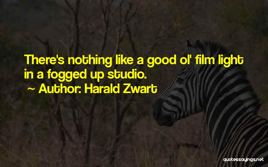 Harald Zwart Quotes: There's Nothing Like A Good Ol' Film Light In A Fogged Up Studio.
