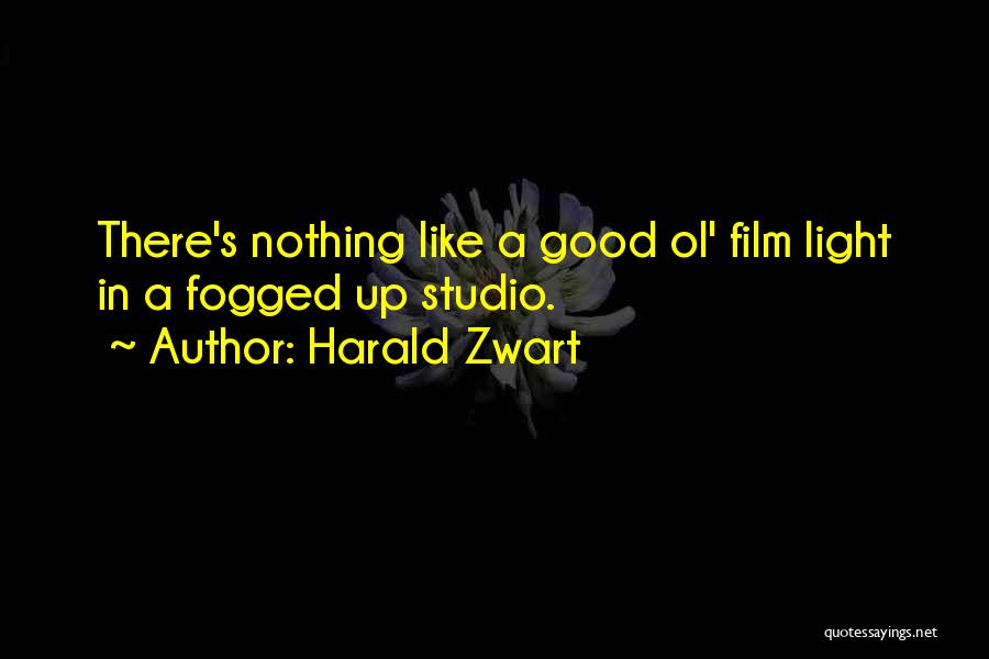 Harald Zwart Quotes: There's Nothing Like A Good Ol' Film Light In A Fogged Up Studio.