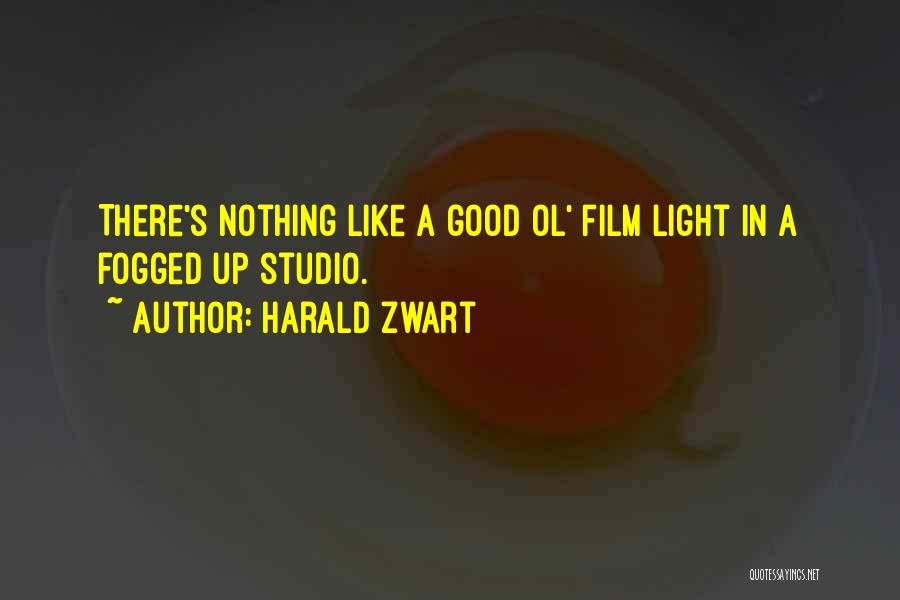 Harald Zwart Quotes: There's Nothing Like A Good Ol' Film Light In A Fogged Up Studio.