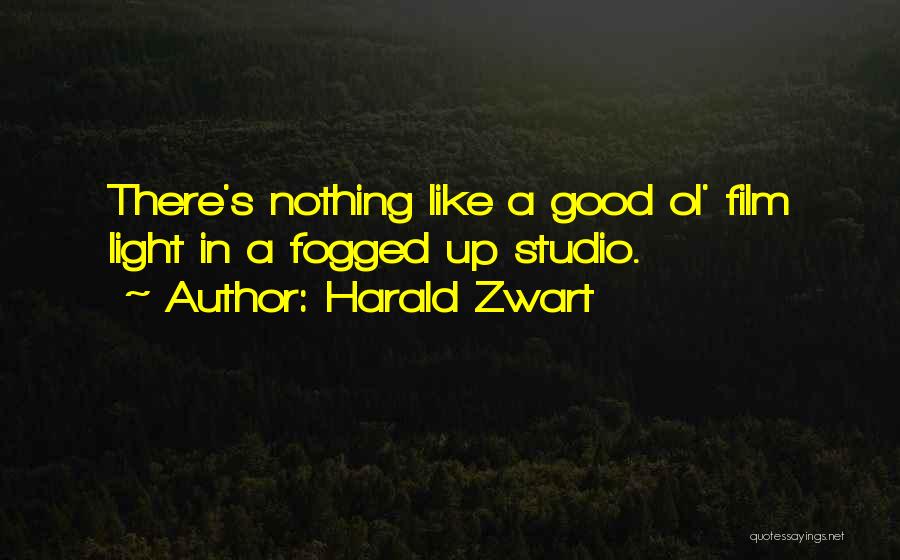 Harald Zwart Quotes: There's Nothing Like A Good Ol' Film Light In A Fogged Up Studio.