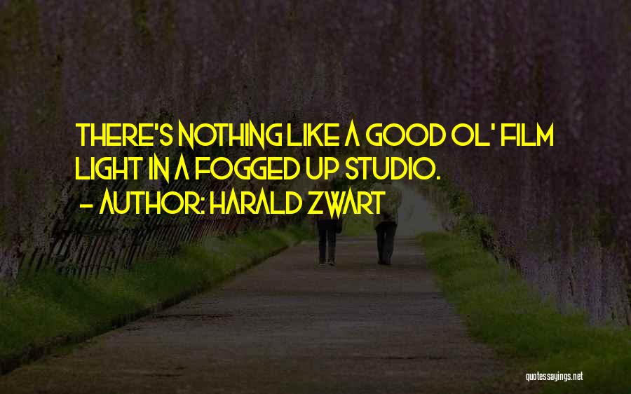 Harald Zwart Quotes: There's Nothing Like A Good Ol' Film Light In A Fogged Up Studio.