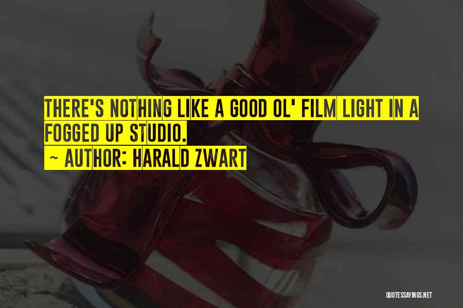 Harald Zwart Quotes: There's Nothing Like A Good Ol' Film Light In A Fogged Up Studio.
