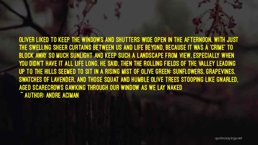 Andre Aciman Quotes: Oliver Liked To Keep The Windows And Shutters Wide Open In The Afternoon, With Just The Swelling Sheer Curtains Between