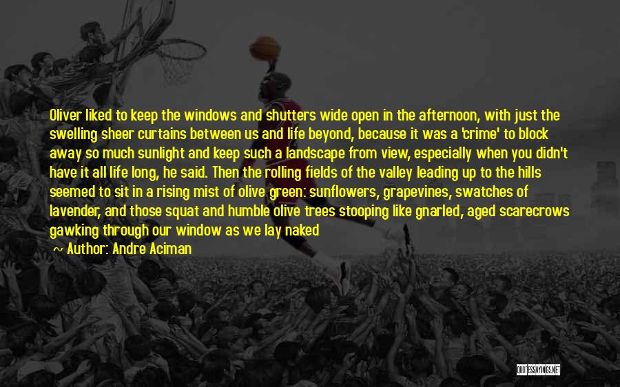 Andre Aciman Quotes: Oliver Liked To Keep The Windows And Shutters Wide Open In The Afternoon, With Just The Swelling Sheer Curtains Between