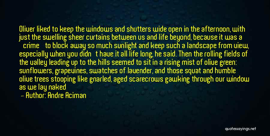 Andre Aciman Quotes: Oliver Liked To Keep The Windows And Shutters Wide Open In The Afternoon, With Just The Swelling Sheer Curtains Between