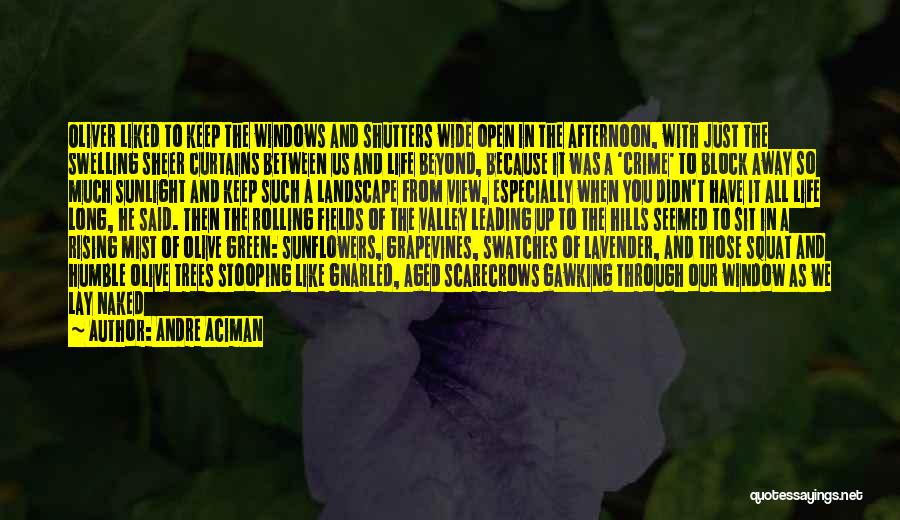 Andre Aciman Quotes: Oliver Liked To Keep The Windows And Shutters Wide Open In The Afternoon, With Just The Swelling Sheer Curtains Between