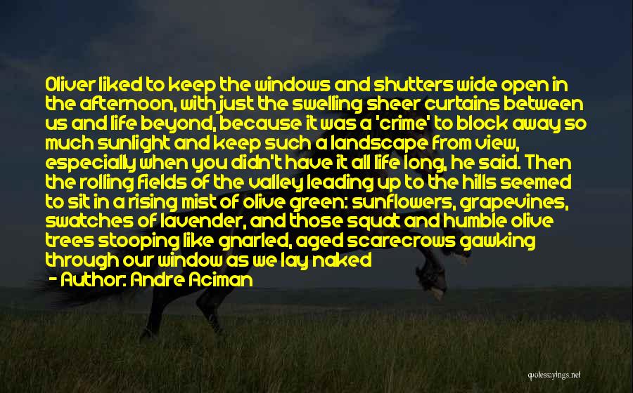 Andre Aciman Quotes: Oliver Liked To Keep The Windows And Shutters Wide Open In The Afternoon, With Just The Swelling Sheer Curtains Between