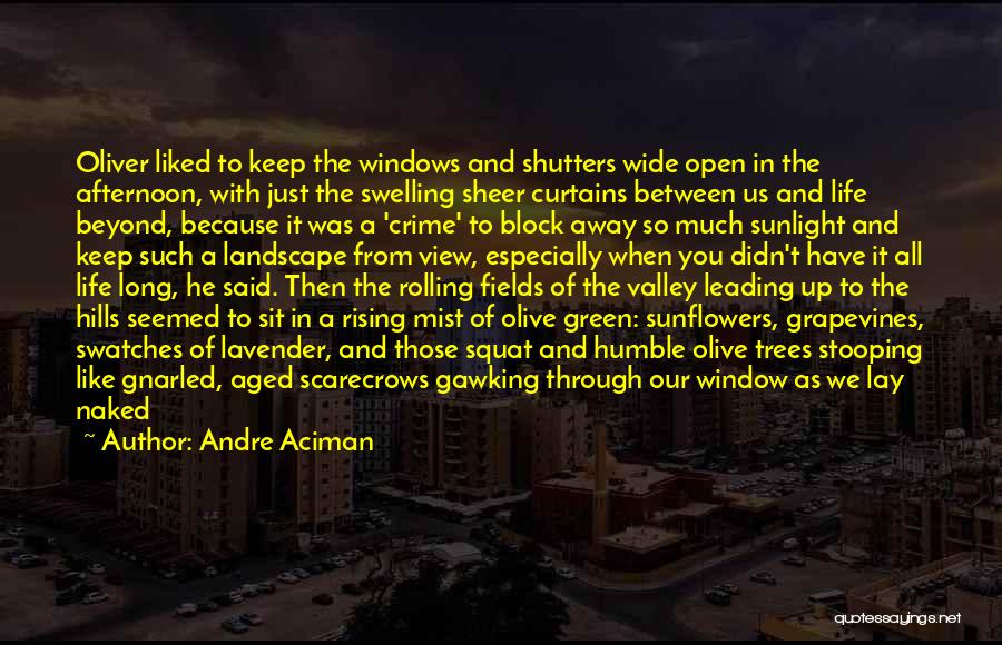 Andre Aciman Quotes: Oliver Liked To Keep The Windows And Shutters Wide Open In The Afternoon, With Just The Swelling Sheer Curtains Between