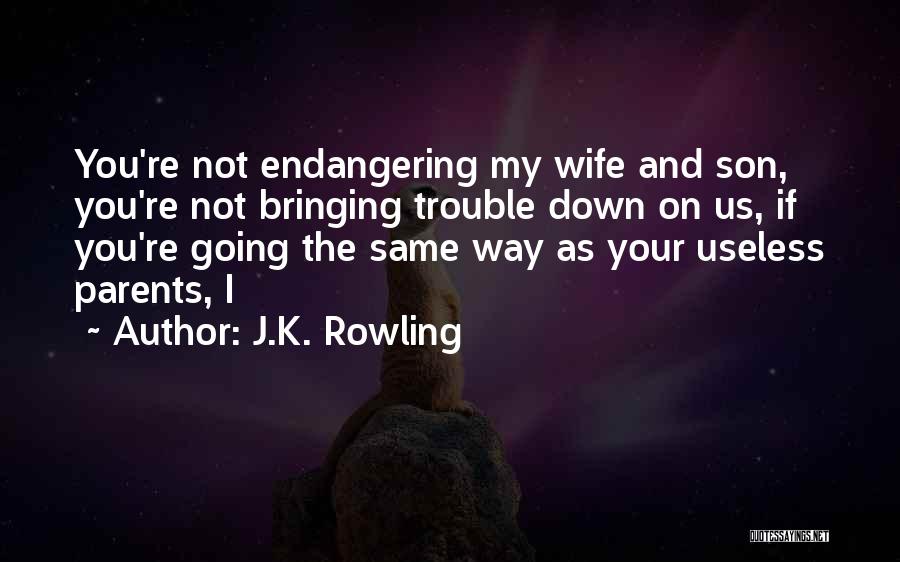 J.K. Rowling Quotes: You're Not Endangering My Wife And Son, You're Not Bringing Trouble Down On Us, If You're Going The Same Way