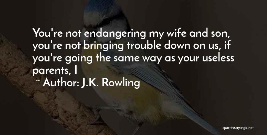 J.K. Rowling Quotes: You're Not Endangering My Wife And Son, You're Not Bringing Trouble Down On Us, If You're Going The Same Way