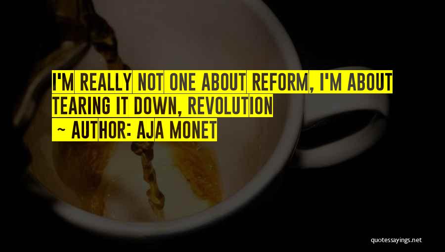 Aja Monet Quotes: I'm Really Not One About Reform, I'm About Tearing It Down, Revolution