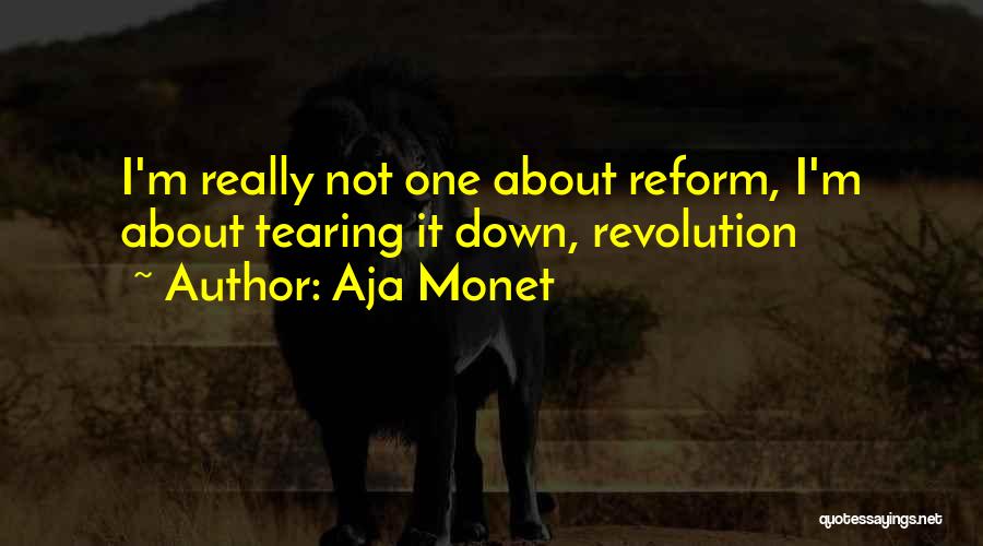 Aja Monet Quotes: I'm Really Not One About Reform, I'm About Tearing It Down, Revolution