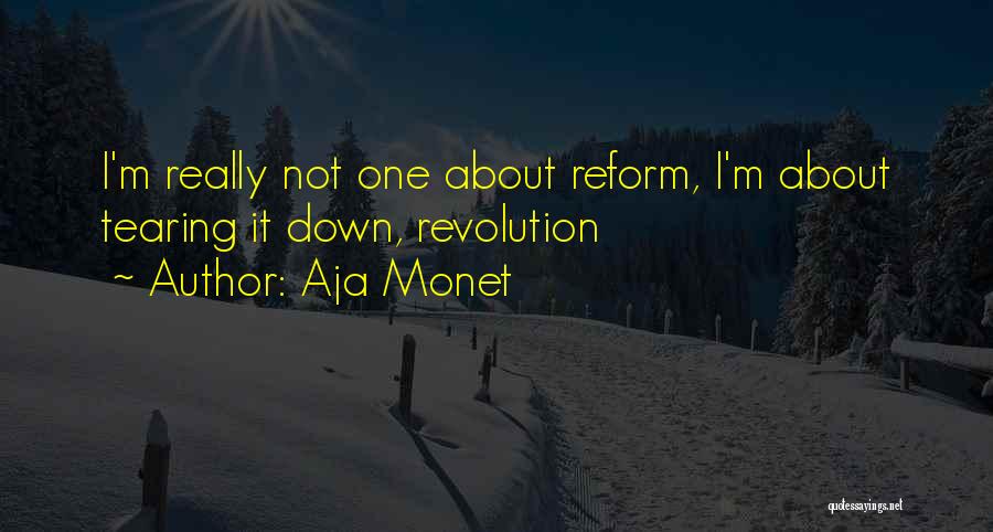 Aja Monet Quotes: I'm Really Not One About Reform, I'm About Tearing It Down, Revolution