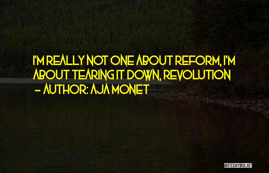 Aja Monet Quotes: I'm Really Not One About Reform, I'm About Tearing It Down, Revolution