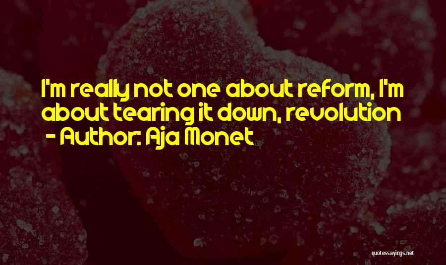 Aja Monet Quotes: I'm Really Not One About Reform, I'm About Tearing It Down, Revolution