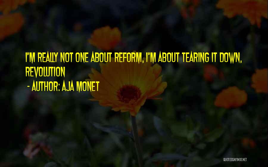 Aja Monet Quotes: I'm Really Not One About Reform, I'm About Tearing It Down, Revolution
