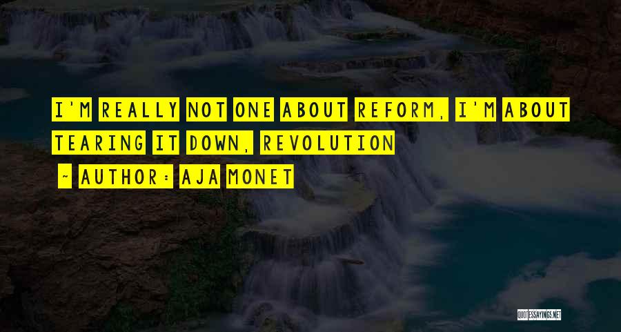 Aja Monet Quotes: I'm Really Not One About Reform, I'm About Tearing It Down, Revolution