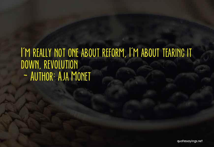 Aja Monet Quotes: I'm Really Not One About Reform, I'm About Tearing It Down, Revolution