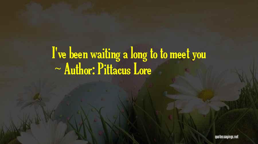 Pittacus Lore Quotes: I've Been Waiting A Long To To Meet You