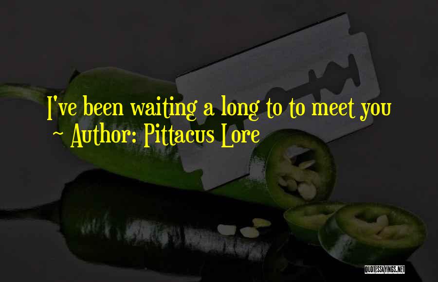 Pittacus Lore Quotes: I've Been Waiting A Long To To Meet You