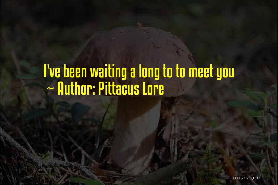 Pittacus Lore Quotes: I've Been Waiting A Long To To Meet You
