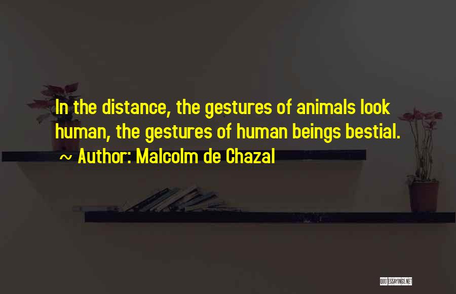 Malcolm De Chazal Quotes: In The Distance, The Gestures Of Animals Look Human, The Gestures Of Human Beings Bestial.