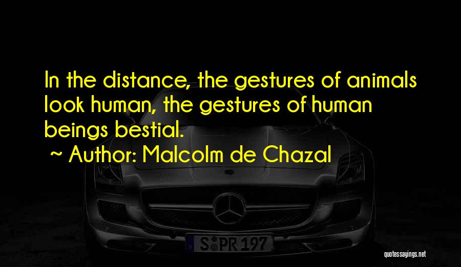 Malcolm De Chazal Quotes: In The Distance, The Gestures Of Animals Look Human, The Gestures Of Human Beings Bestial.