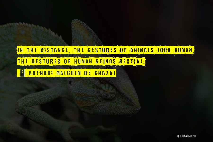 Malcolm De Chazal Quotes: In The Distance, The Gestures Of Animals Look Human, The Gestures Of Human Beings Bestial.