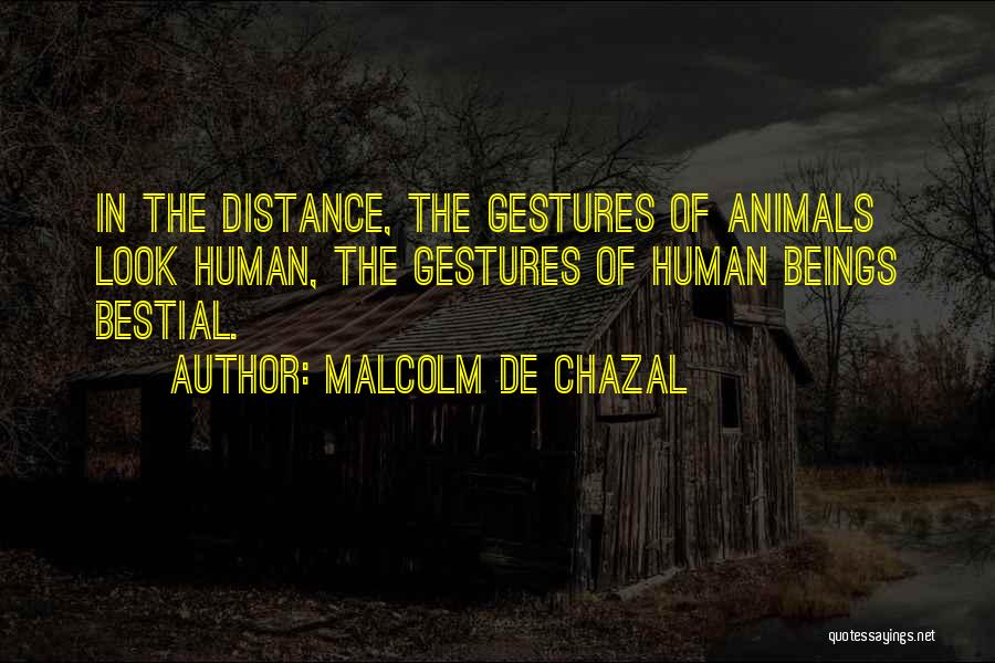 Malcolm De Chazal Quotes: In The Distance, The Gestures Of Animals Look Human, The Gestures Of Human Beings Bestial.