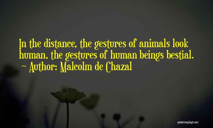 Malcolm De Chazal Quotes: In The Distance, The Gestures Of Animals Look Human, The Gestures Of Human Beings Bestial.