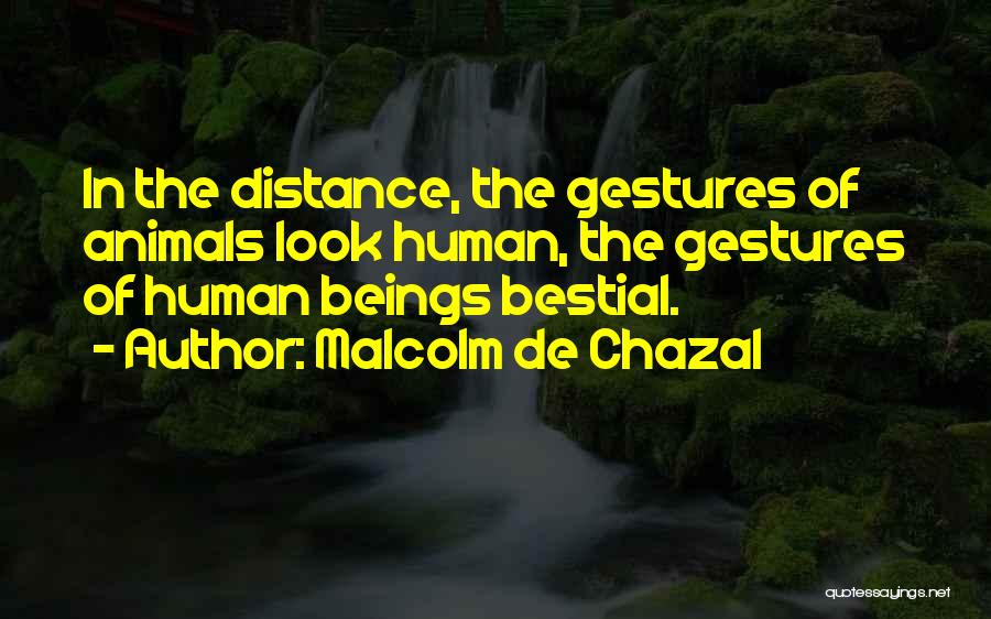 Malcolm De Chazal Quotes: In The Distance, The Gestures Of Animals Look Human, The Gestures Of Human Beings Bestial.