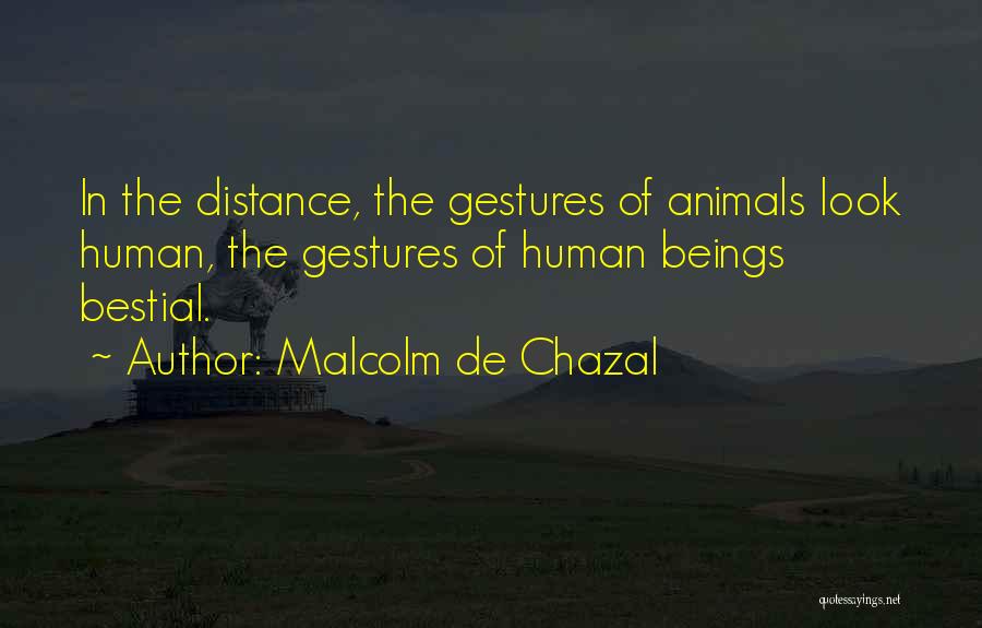 Malcolm De Chazal Quotes: In The Distance, The Gestures Of Animals Look Human, The Gestures Of Human Beings Bestial.