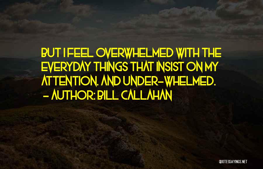 Bill Callahan Quotes: But I Feel Overwhelmed With The Everyday Things That Insist On My Attention. And Under-whelmed.