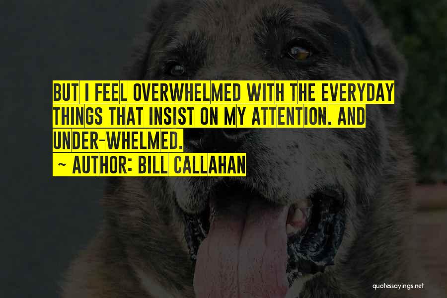 Bill Callahan Quotes: But I Feel Overwhelmed With The Everyday Things That Insist On My Attention. And Under-whelmed.