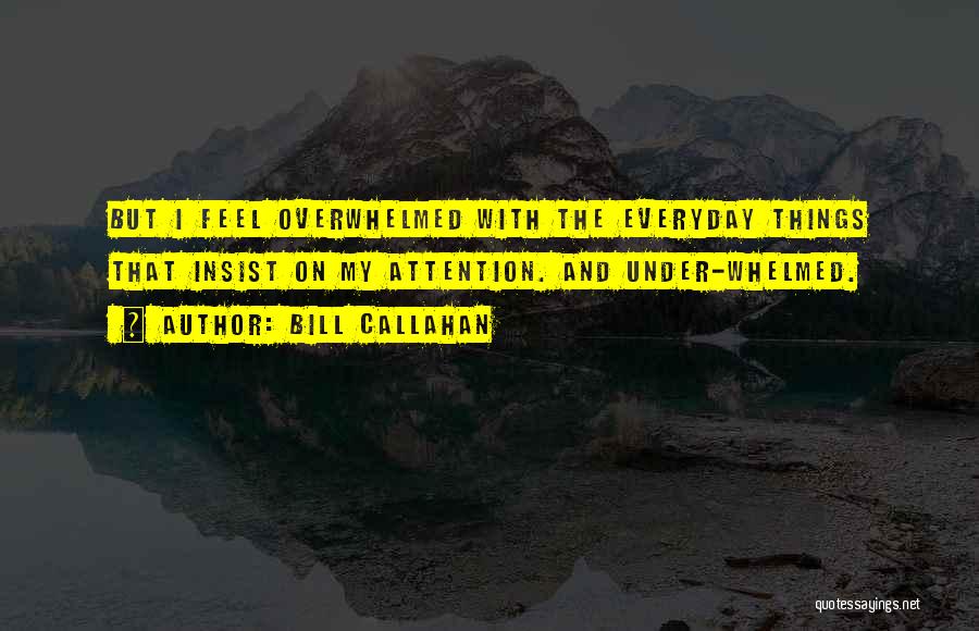 Bill Callahan Quotes: But I Feel Overwhelmed With The Everyday Things That Insist On My Attention. And Under-whelmed.