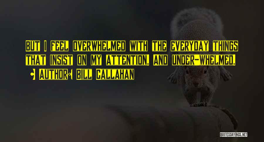 Bill Callahan Quotes: But I Feel Overwhelmed With The Everyday Things That Insist On My Attention. And Under-whelmed.