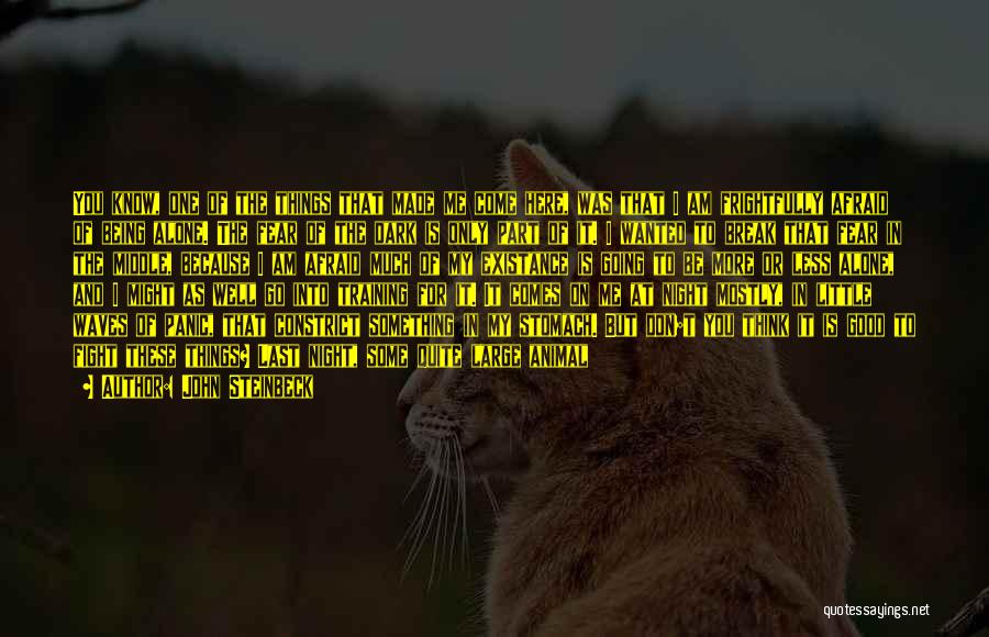 John Steinbeck Quotes: You Know, One Of The Things That Made Me Come Here, Was That I Am Frightfully Afraid Of Being Alone.