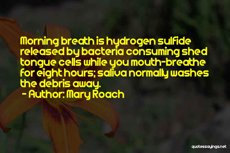 Mary Roach Quotes: Morning Breath Is Hydrogen Sulfide Released By Bacteria Consuming Shed Tongue Cells While You Mouth-breathe For Eight Hours; Saliva Normally