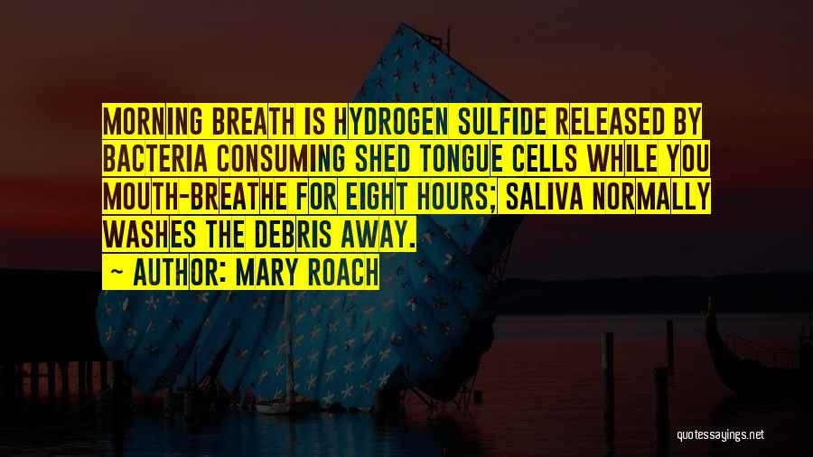 Mary Roach Quotes: Morning Breath Is Hydrogen Sulfide Released By Bacteria Consuming Shed Tongue Cells While You Mouth-breathe For Eight Hours; Saliva Normally