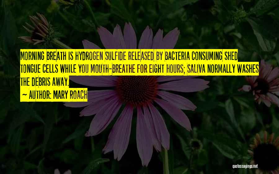 Mary Roach Quotes: Morning Breath Is Hydrogen Sulfide Released By Bacteria Consuming Shed Tongue Cells While You Mouth-breathe For Eight Hours; Saliva Normally