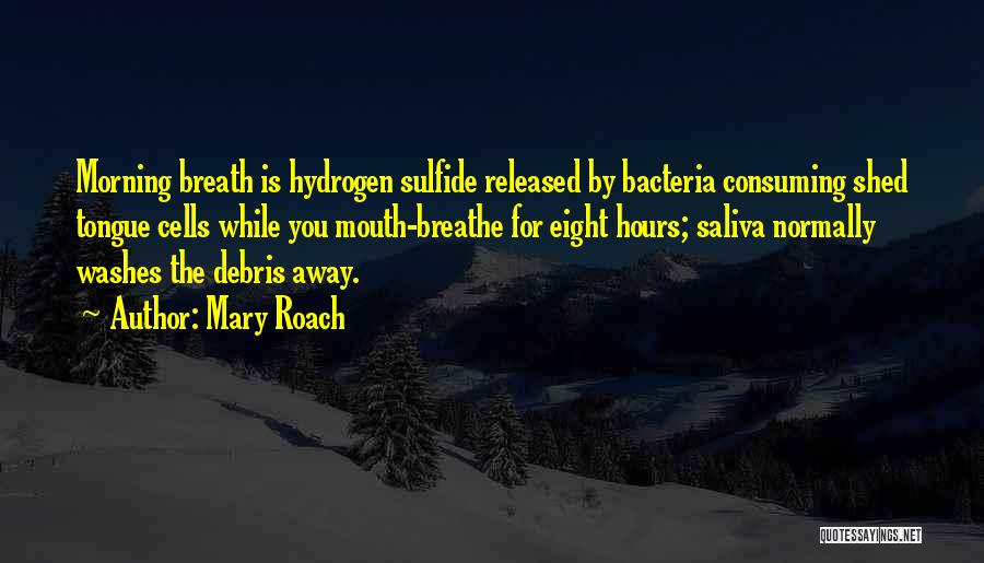 Mary Roach Quotes: Morning Breath Is Hydrogen Sulfide Released By Bacteria Consuming Shed Tongue Cells While You Mouth-breathe For Eight Hours; Saliva Normally