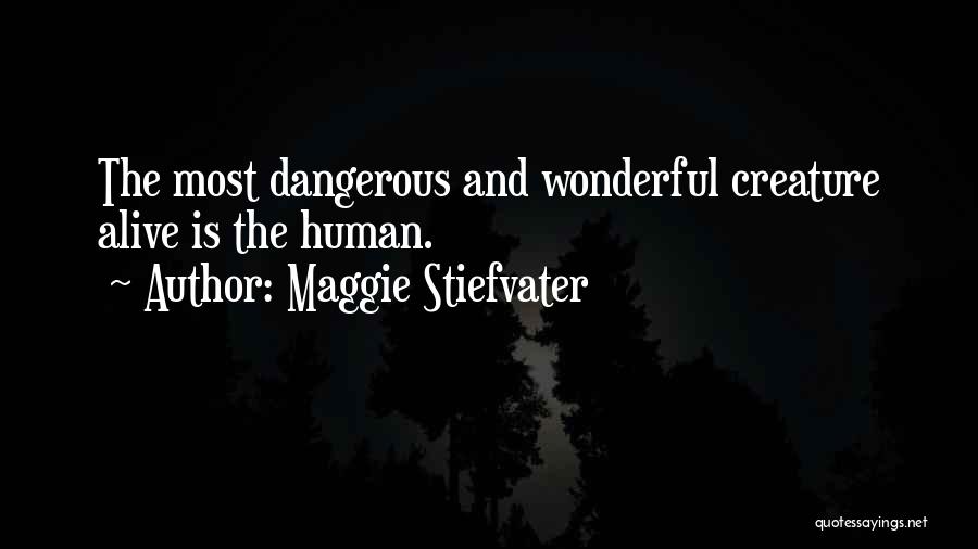 Maggie Stiefvater Quotes: The Most Dangerous And Wonderful Creature Alive Is The Human.