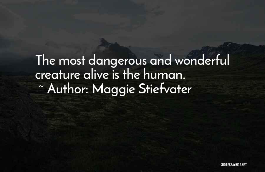 Maggie Stiefvater Quotes: The Most Dangerous And Wonderful Creature Alive Is The Human.