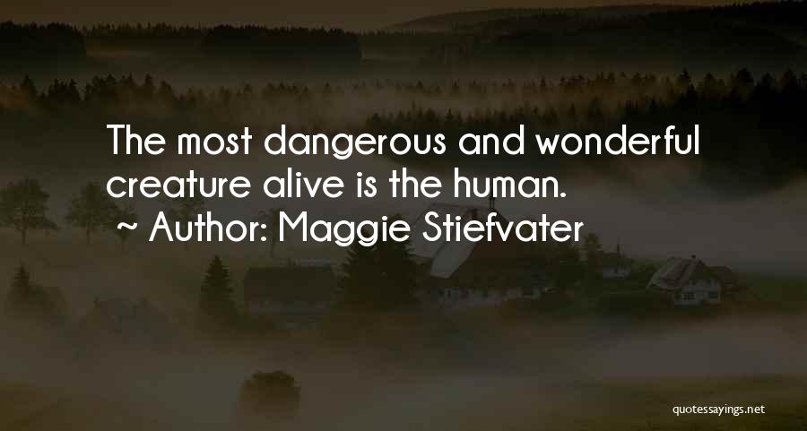 Maggie Stiefvater Quotes: The Most Dangerous And Wonderful Creature Alive Is The Human.